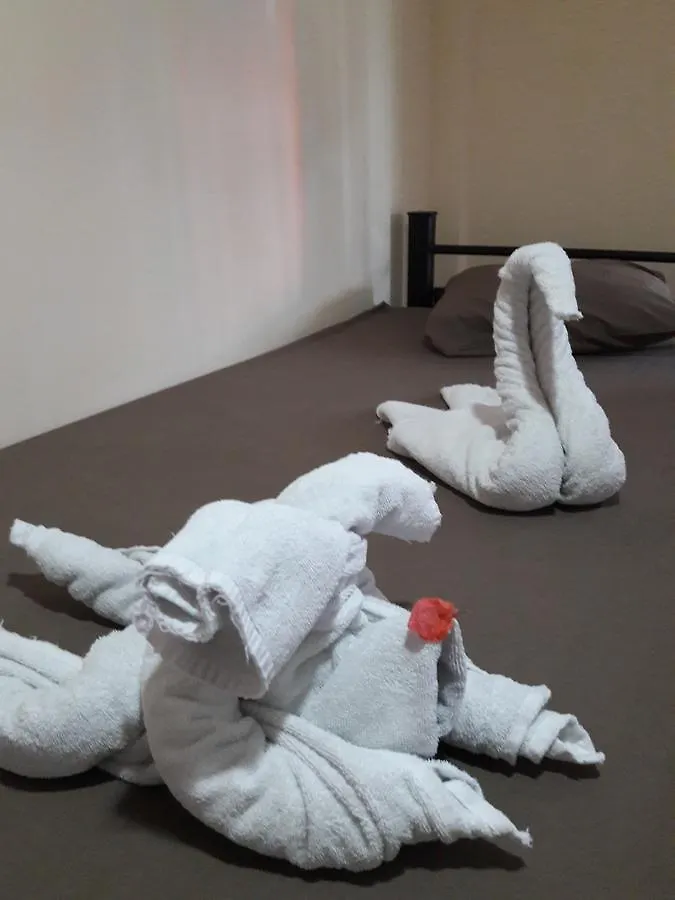 Alme Hostel プレヤデルカーメン メキシコ